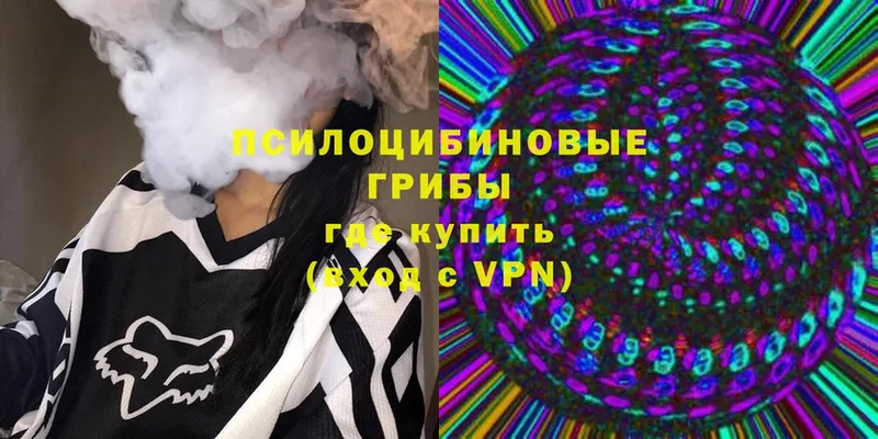 Галлюциногенные грибы Magic Shrooms  Анжеро-Судженск 